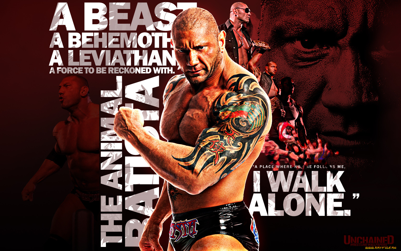 , wwe